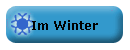 Im Winter