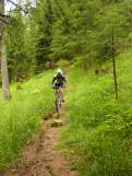 Mountainbiken